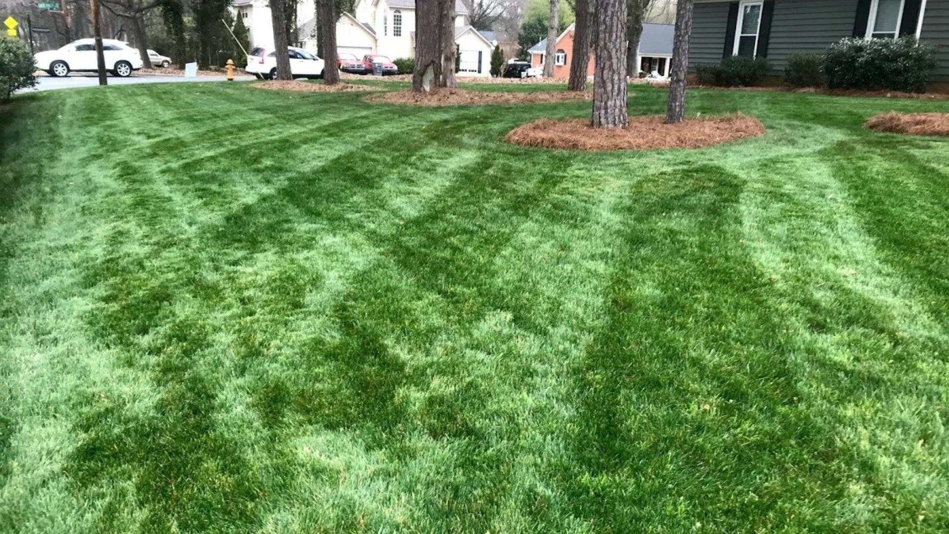 Dark green front lawn in Upper Arlington, OH.