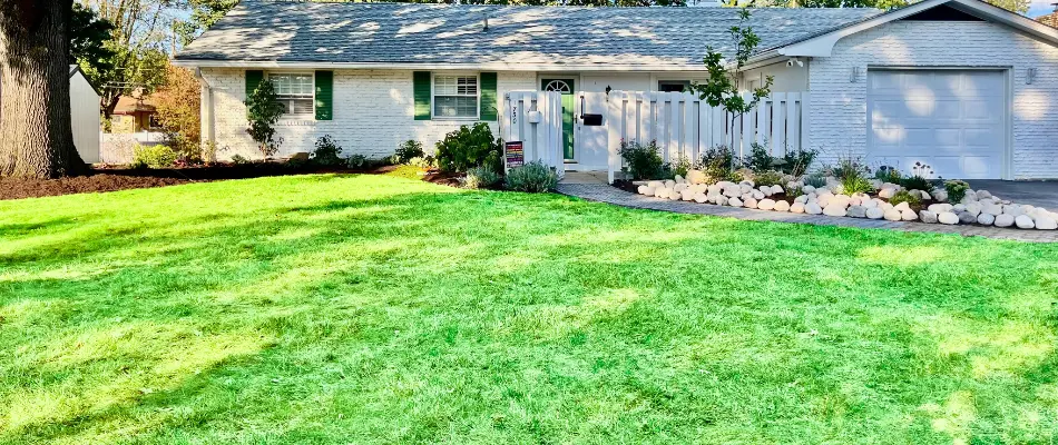 House in Upper Arlington, OH, with tall tree and healthy grass.