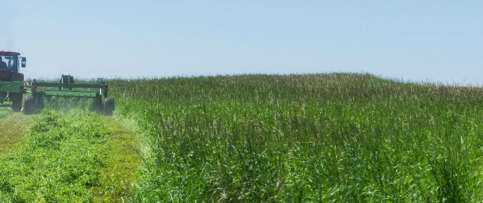 Bush hogging an overgrown field in Upper Arlington, OH.