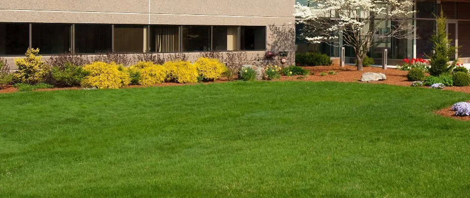 Colorful plants and healthy green lawn in Upper Arlington, OH.
