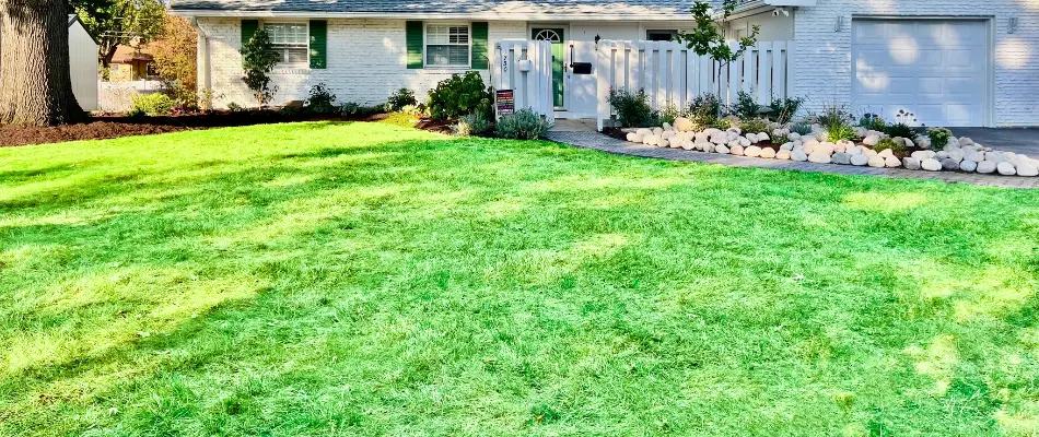 Dense grass with landscaping plants in Westerville, OH.