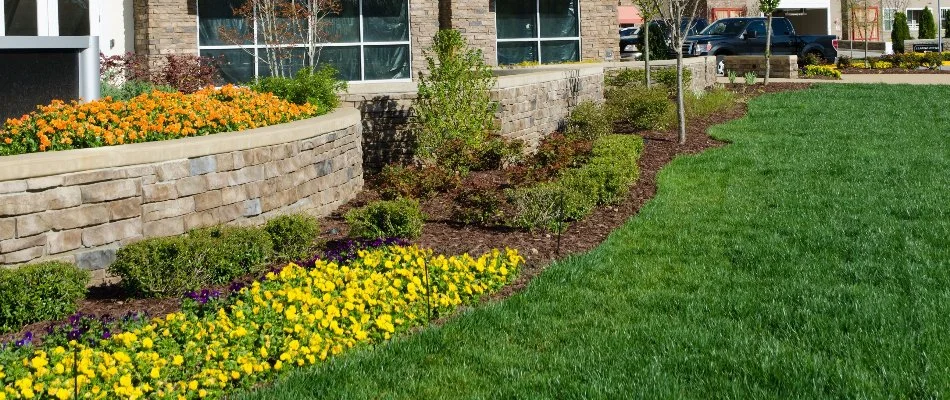 Green lawn next to landscape area with plantings in Upper Arlington, OH.