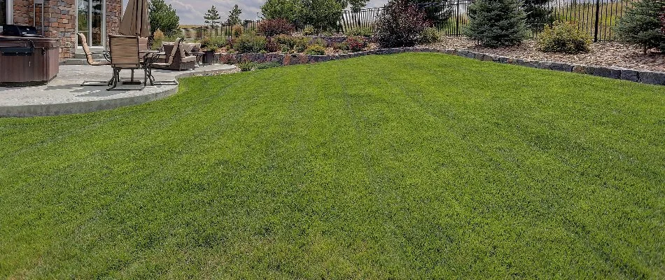 Healthy fertilized lawn in Worthington, OH.