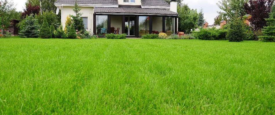 Healthy, green lawn with a house in Upper Arlington, OH.