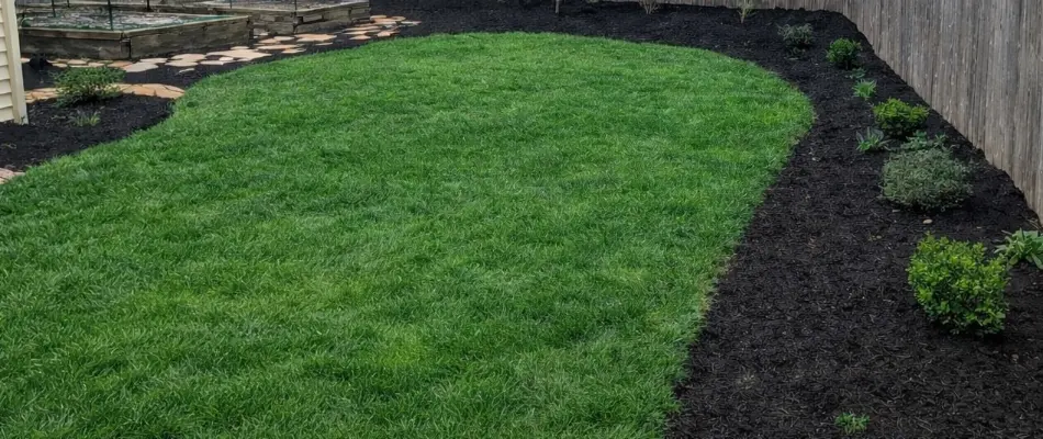 Healthy lush grass and mulched area in Upper Arlington, OH.