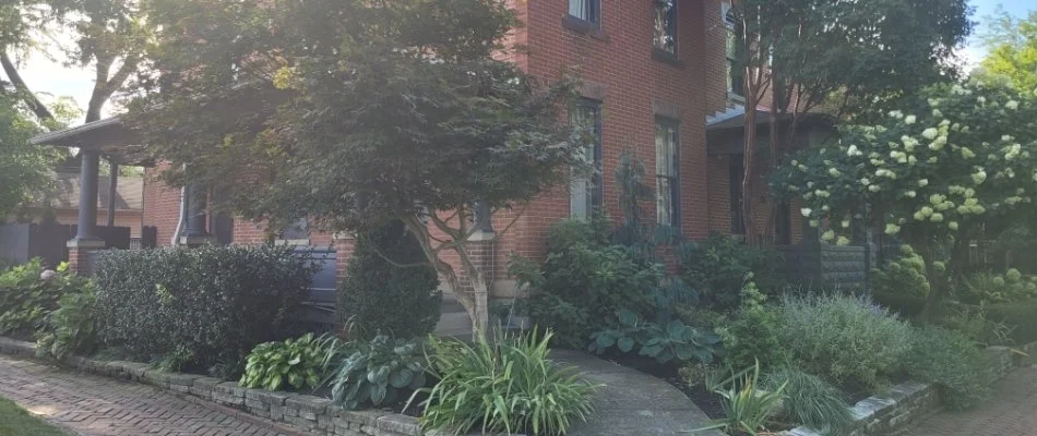 House behind trees and shrubs in Upper Arlington, OH.