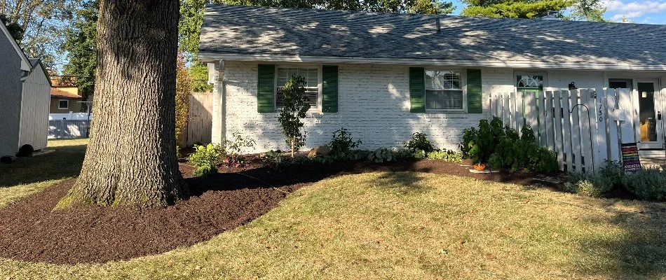 House in Upper Arlington, OH, with large tree and other plants.