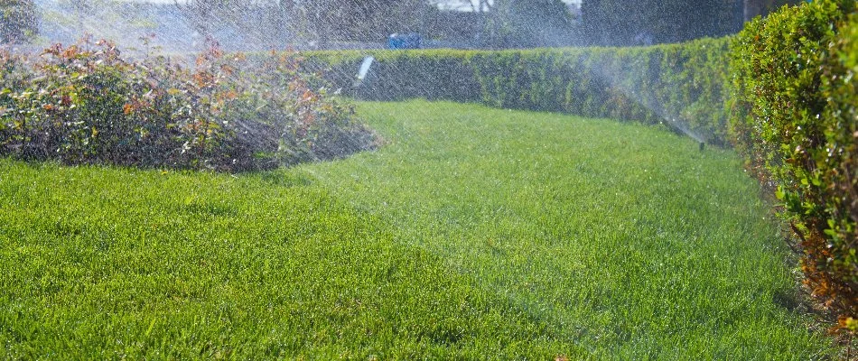 Irrigation system watering a lawn in Upper Arlington, OH.