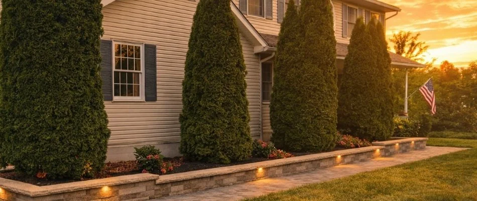 Landscape beds in Dublin, OH, with evergreen trees.