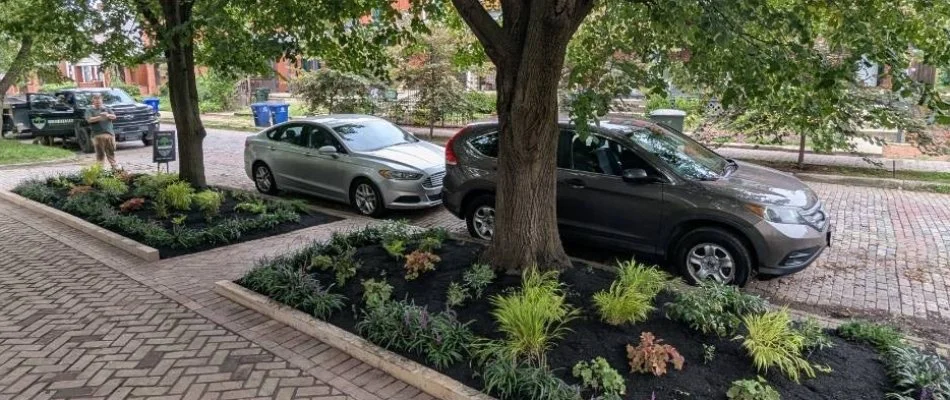Landscape by a sidewalk in Upper Arlington, OH, with trees and plants.