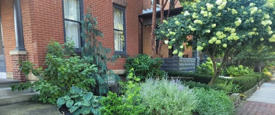 Landscape in Upper Arlington, OH, with lush plantings.