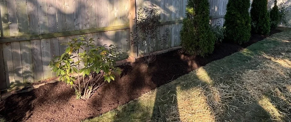 Landscape in Upper Arlington, OH, with mulch and plants.