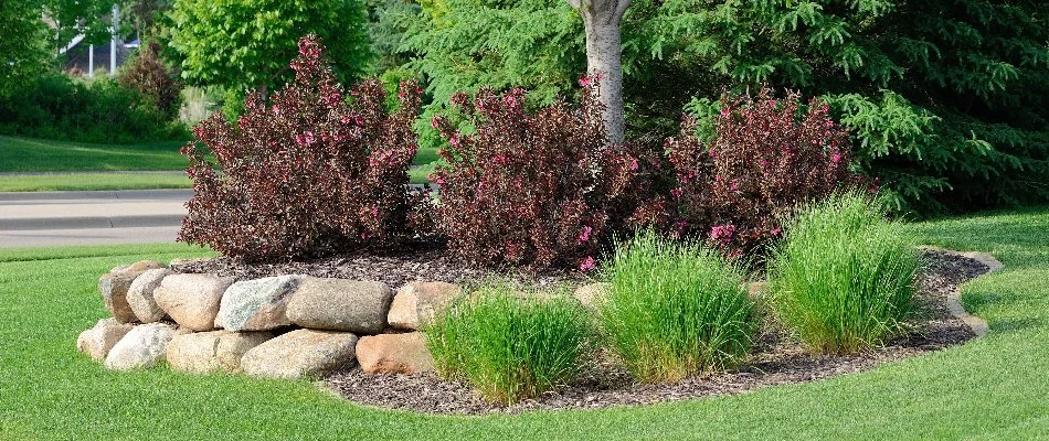 Large boulders and plants in a landscape in Upper Arlington, OH.