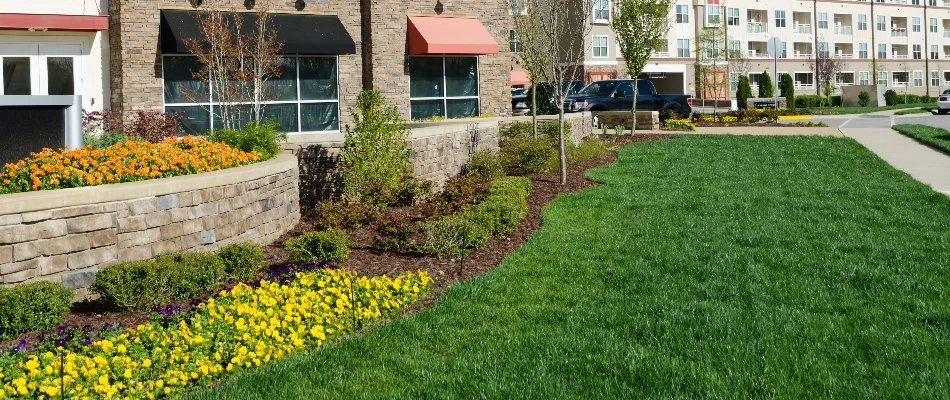 Lawn and neat landscape outside commercial buildings in Italian Village, OH.