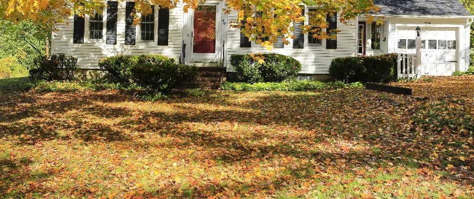Lawn in Upper Arlington, OH, with dry leaves.