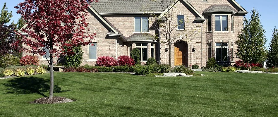 Manicured front lawn with shrubs and trees.