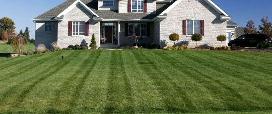 Mowing stripes on a front lawn.