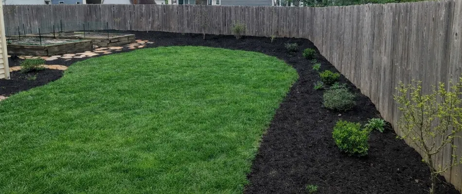 Mulched landscape around lush green grass in Powell, OH.