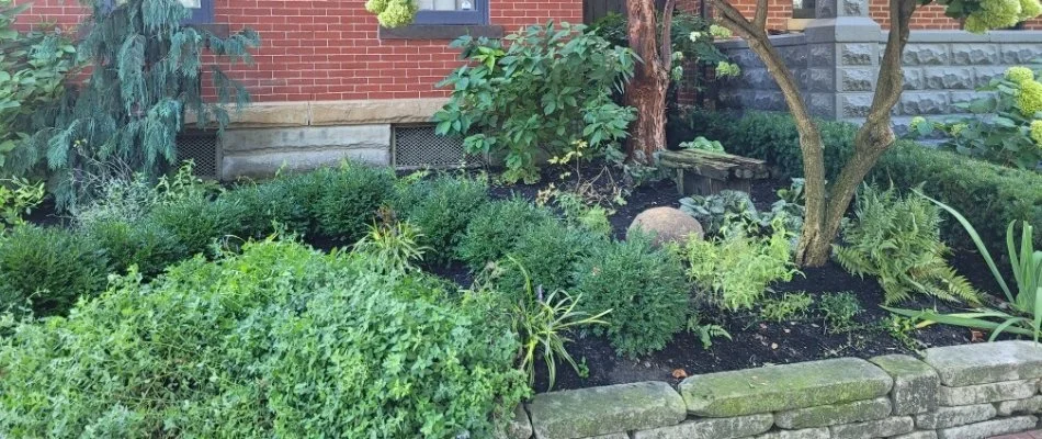 Neat landscape in Upper Arlington, OH, with green plants.