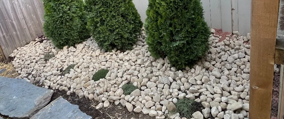 Plants and decorative rocks in Upper Arlington, OH.