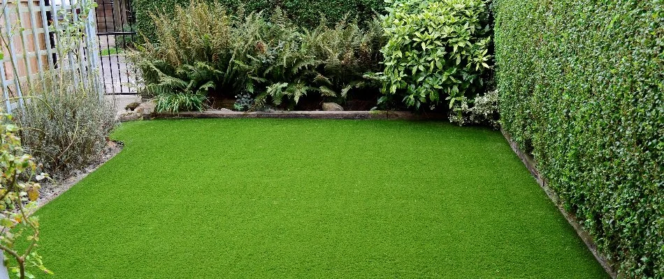 Plants around artificial turf in Upper Arlington, OH.