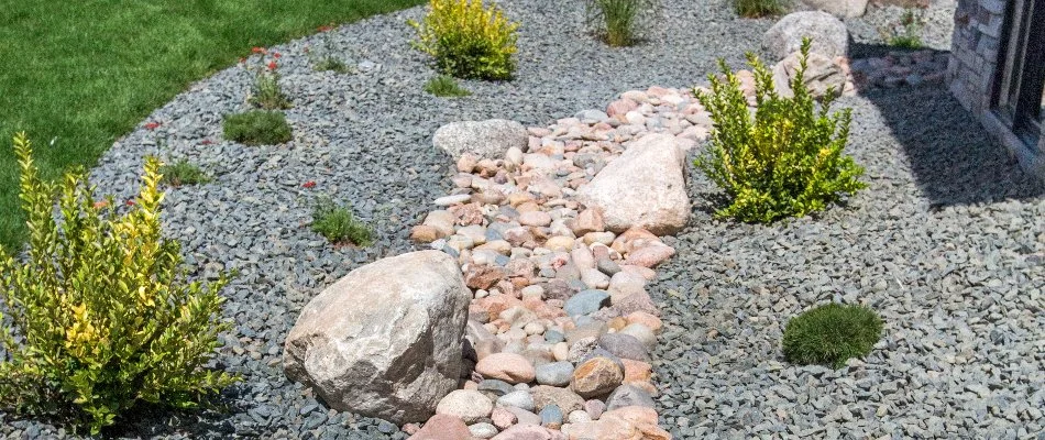 Rocks and plants of a dry creek bed in Upper Arlington, OH.