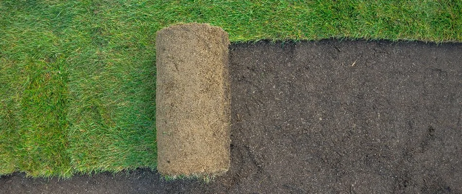 Roll of sod during installation in Upper Arlington, OH.