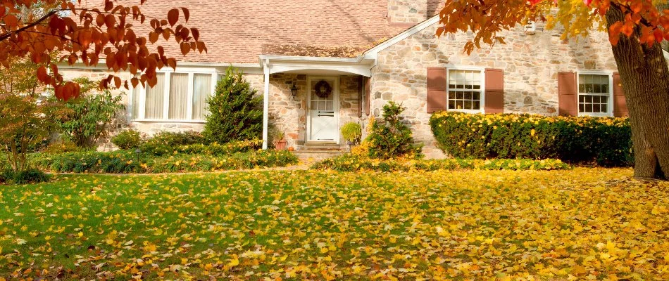 Yellow leaves on a lawn in Upper Arlington, OH, by a house.