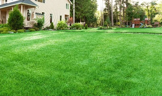 Front green lawn in Upper Arlington, OH.
