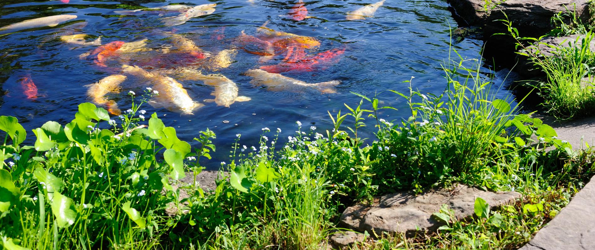 grodhaus-water-features-4